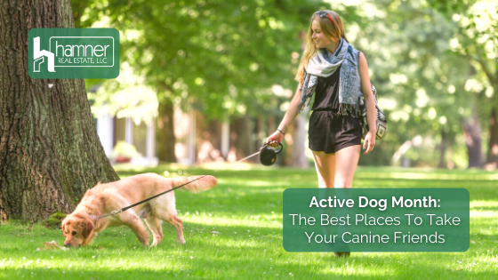 Looking for places to keep your dogs occupied? Here are the outdoor spots in and around Tuscaloosa you should visit.